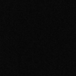 Meet your Posher, Yissel